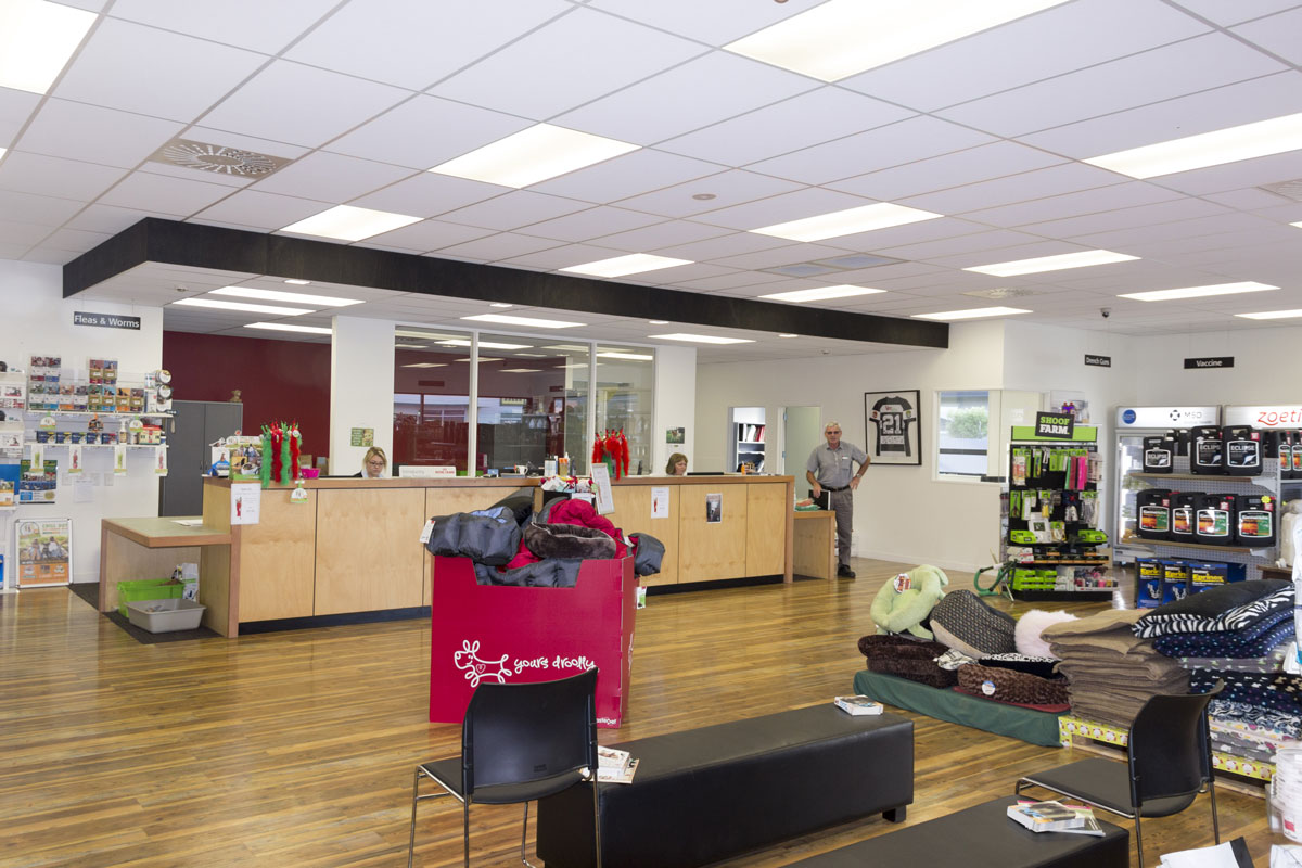 Waiting room of Vet Services Dannevirke