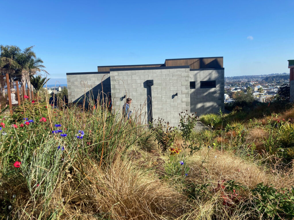 The Mantles, Dalgleish Architects award winning home and garden, with Sam Moore of Considerate Design. 