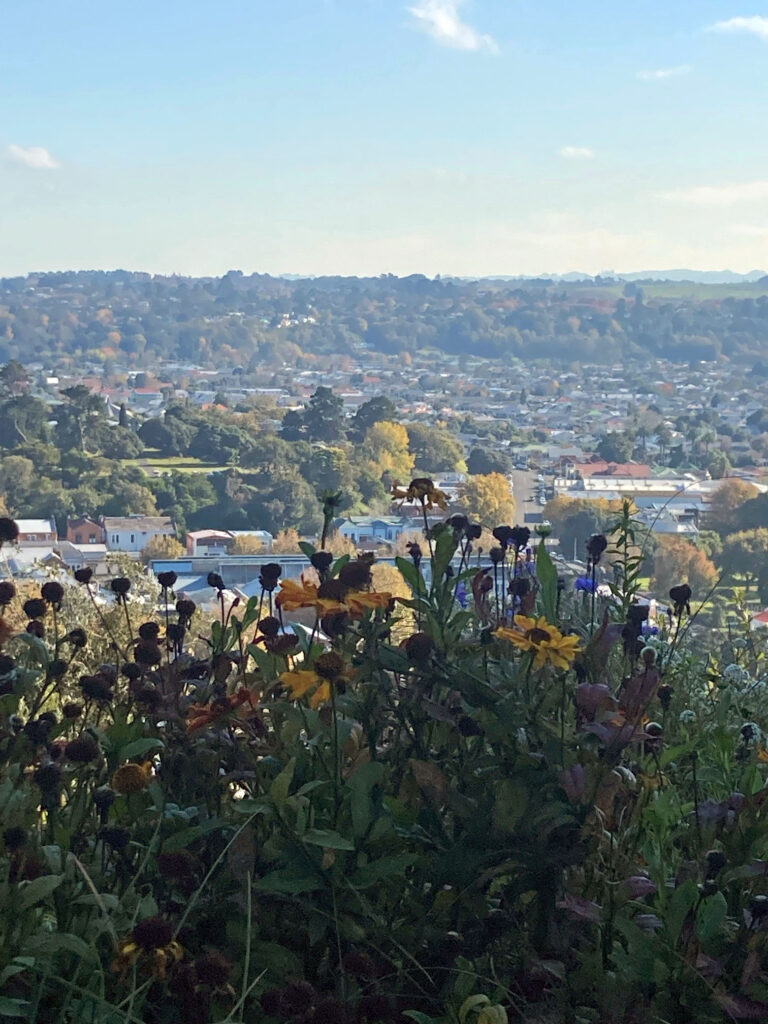 Garden with a view of Whanganui City, at The Mantles