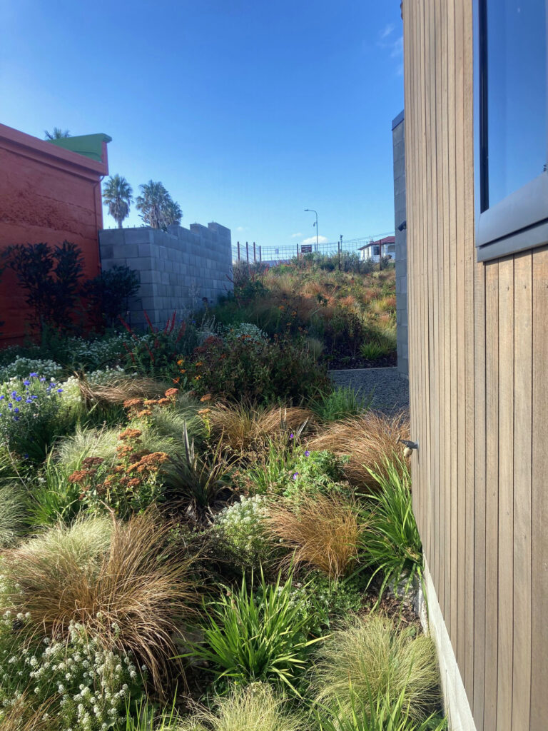 The Mantles Garden to the side of the house